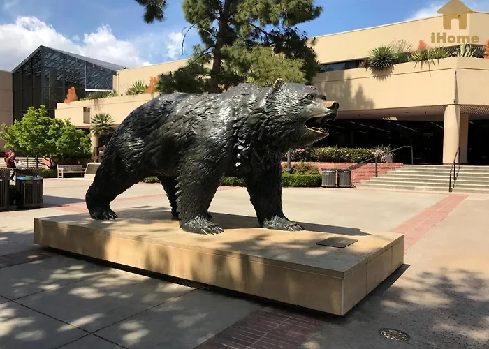 Perfect Apt Near Ucla W Parking Gym Pool Wifi In Westwood B3